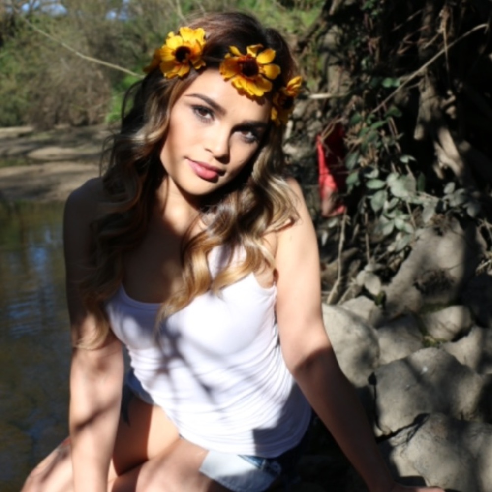 Sunflower halo